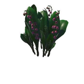 Flower_Convallaria majalis5_1